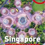 シンガポール教育旅行ガイド