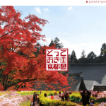 京都市、観光公害対策でDMC支援