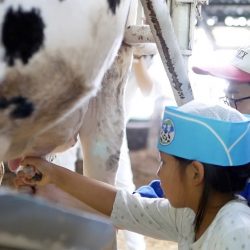 東広島市が産官学で魅力開発、自然資源生かしたコンテンツ訴求