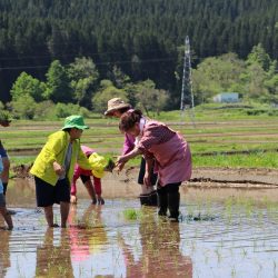 農泊実践地域が500を突破、全国に波及も訪日客誘致に課題