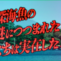 「深海魚の謎につつまれたまち」沼津市が動画で観光PR