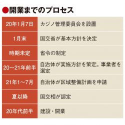 IR整備計画、21年1月に申請開始　自治体の誘致本格化へ