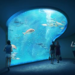 四国最大級の水族館開業へ、時間帯や季節で空間演出変化