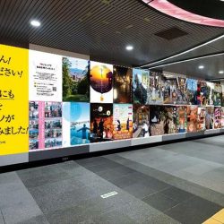 松山市、渋谷の若者に訴求　都会にない魅力で誘致