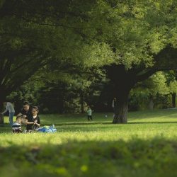 JTB推計、夏の国内旅行者5.3％増　近場で安心・安全が主流