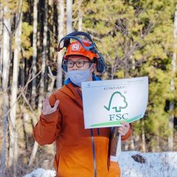 南三陸町の山でSDGs体験　森林管理の教育旅行プログラム