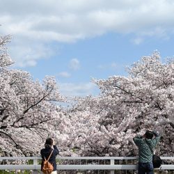 必要な情報に確実にリーチ－－4月からの週刊トラベルジャーナル