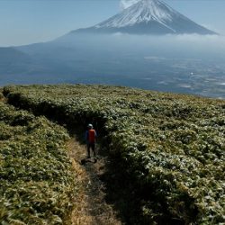 全長1万㎞のジャパントレイル始動　歩く旅を外客誘致の新たな素材に