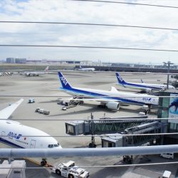 宿泊旅行が大幅回復、4～6月の国内旅行消費2.4倍　空の移動増え