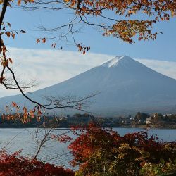 山梨県、訪日客誘致に助成金　ツアーや受け入れ環境整備が対象