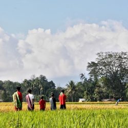 ベルトラ、GSTCに加盟　環境や地域に暮らす人々に配慮