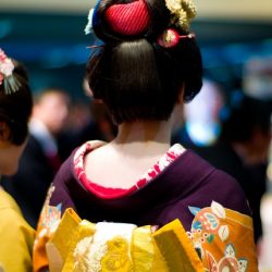 秋田県、夜の観光開発で舞妓とコラボ　文化関係者を支援