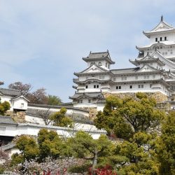 通年で姫路城の記念事業　世界遺産登録30周年　国宝公開やイベント