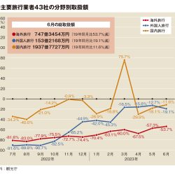 主要旅行業者の6月取扱額29％減　回復率ほぼ横ばい　4社が19年超え