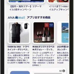 ANA X、航空予約データ使い新事業　移動シーンに応じて広告配信　企業・自治体に照準