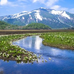 検証リトリート旅　群馬県の滞在商品はなぜ成約ゼロだったのか